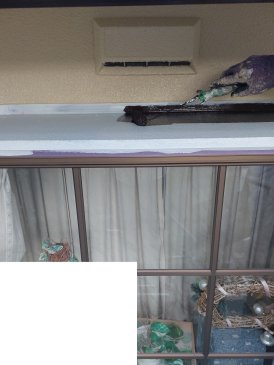2022/7/13　出窓塗装作業１回目