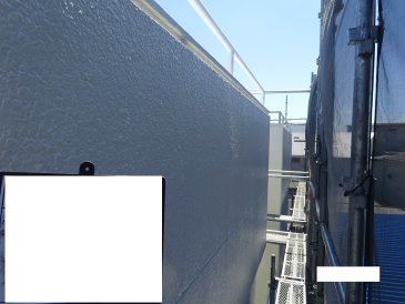 2022/7/29_モルタル外壁 上塗り２回目施工後