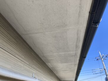 診断結果4