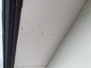 2025/10/31_軒天　施工前