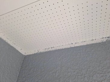 2026/1/15_軒天　施工後